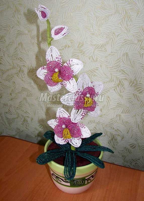 Орхидея из бисера своими руками — пошаговый мастер-класс для начинающих с фото описанием и схемами