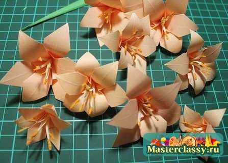 Цветы из бумаги лилия. Как сделать лилию из бумаги своими руками — мастер класс