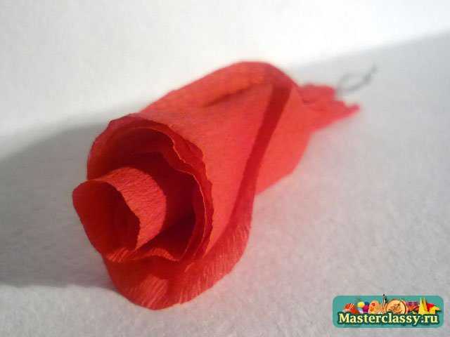 розы из бумаги мастер класс