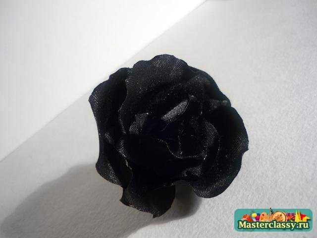 роза черная мастер класс