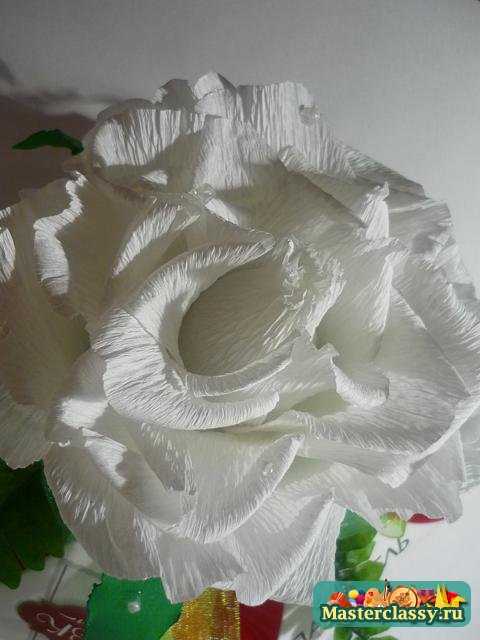 цветы из бумаги роза мастер класс