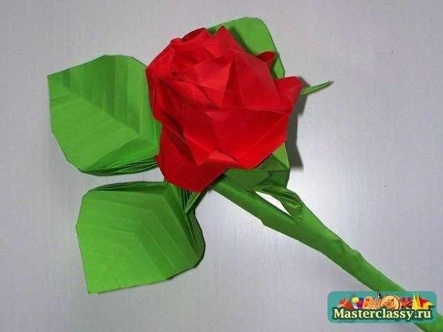 Оригами роза пять лепестков