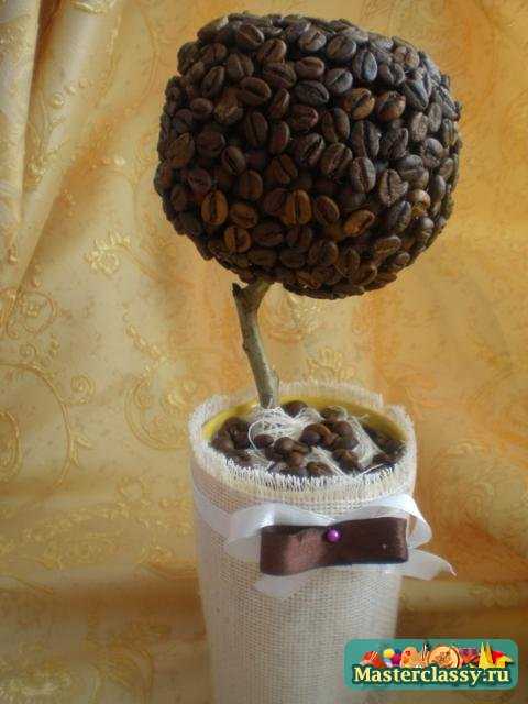 Кофейное дерево своими руками. Мастер класс