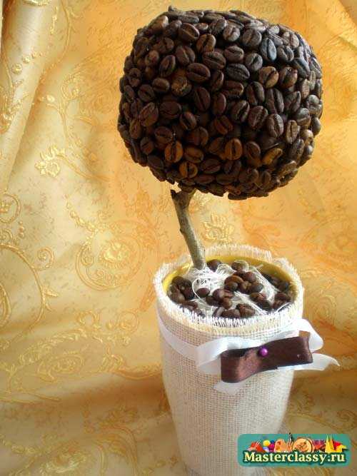 Кофейное дерево своими руками. Мастер класс
