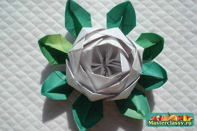 Оригами цветы. Лотос. Мастер класс с пошаговыми фото