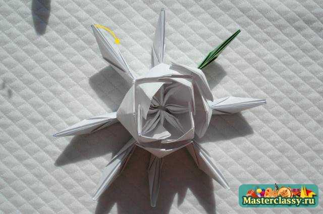 Оригами цветы. Лотос. Мастер класс с пошаговыми фото