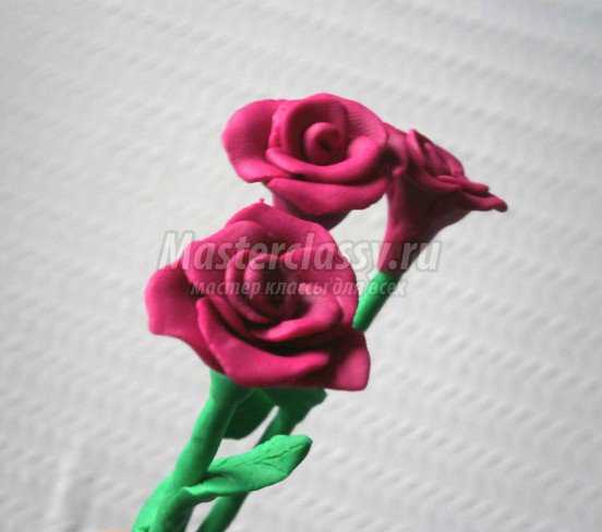 розы из пластилина