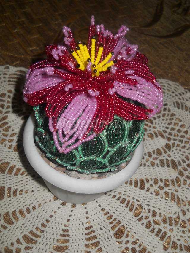 цветущий кактус из бисера