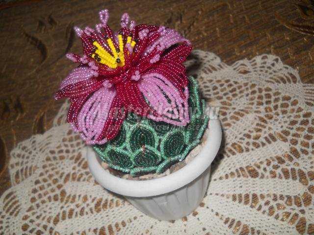цветущий кактус из бисера