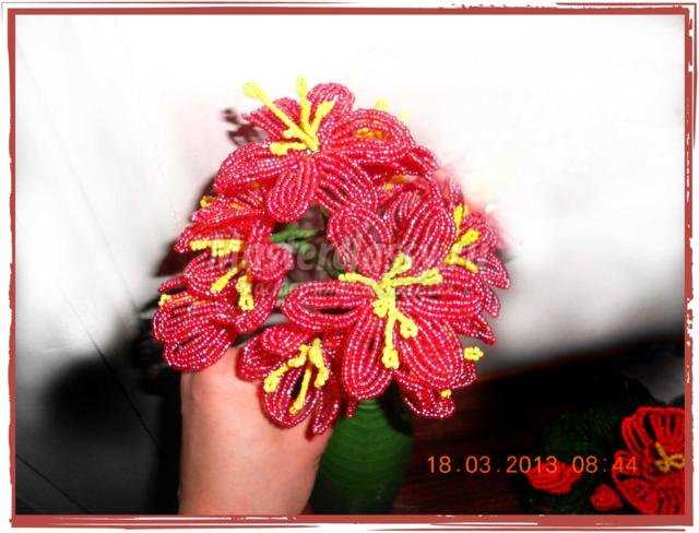цветы из бисера. Кливия