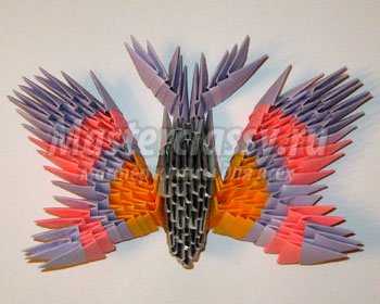 Мастер-класс «Бабочка. Модульное оригами»