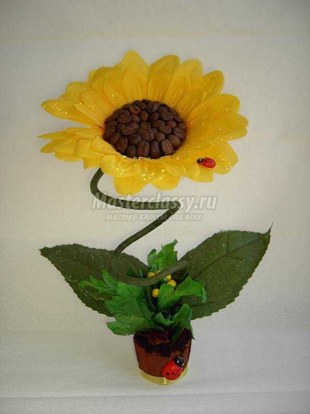 мини-топиарий из искусственного цветка и зерен кофе. Подсолнушек