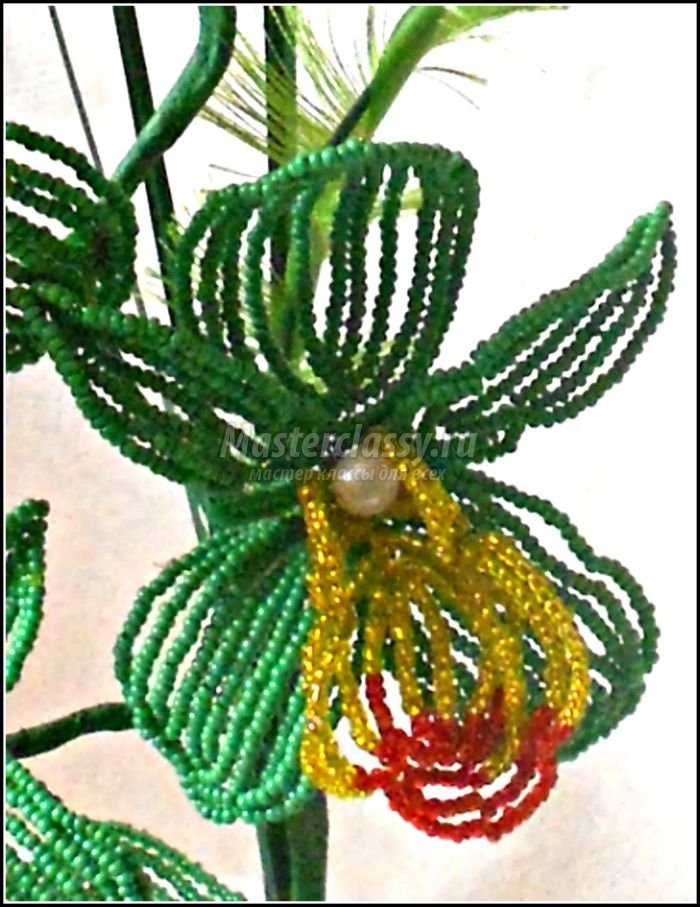 орхидея из бисера фото