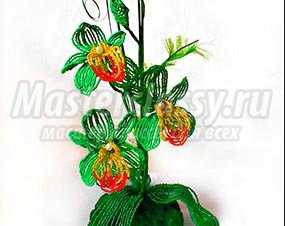 Орхидея из бисера своими руками. Цимбидиум. Мастер-класс с пошаговыми фото