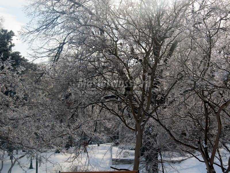 Болгария зима фото