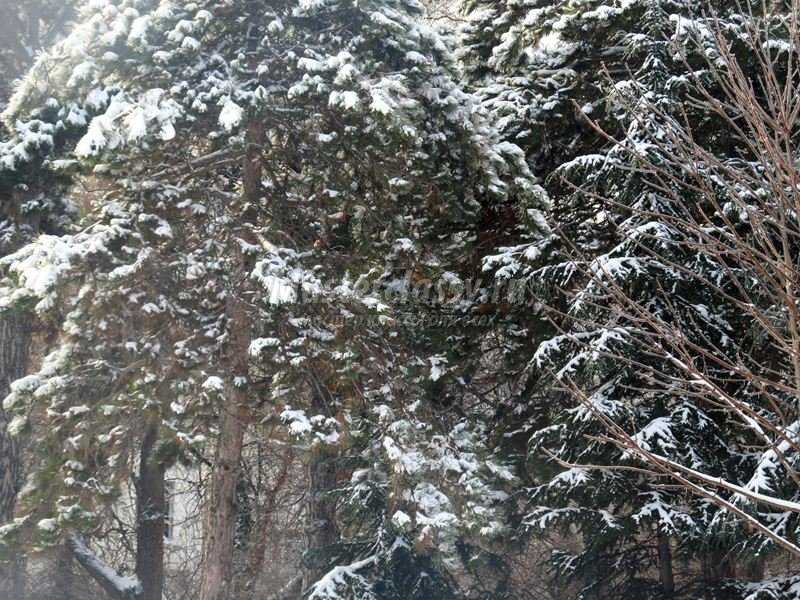 Болгария зима фото