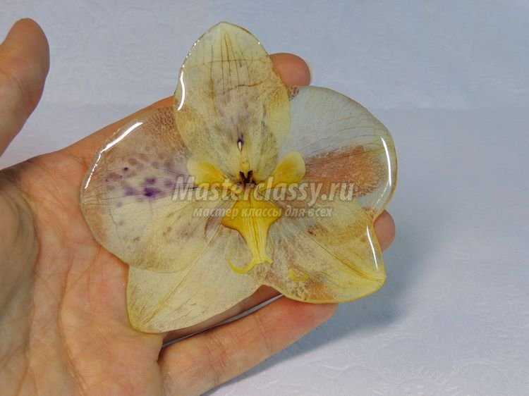 Брошь из цветка орхидеи