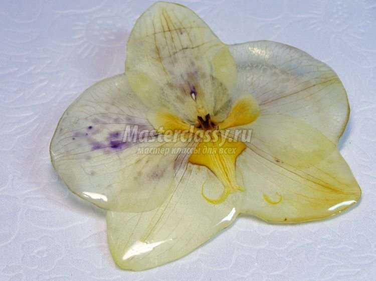 Брошь из цветка орхидеи