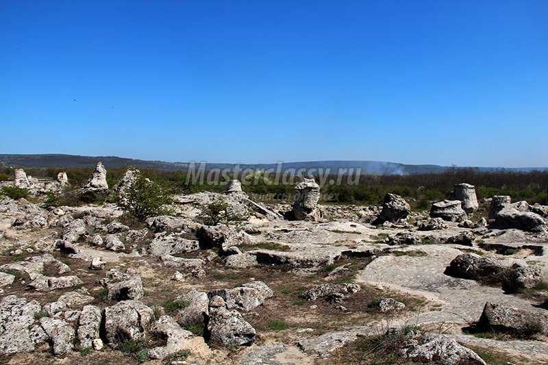 каменный лес Болгария фото