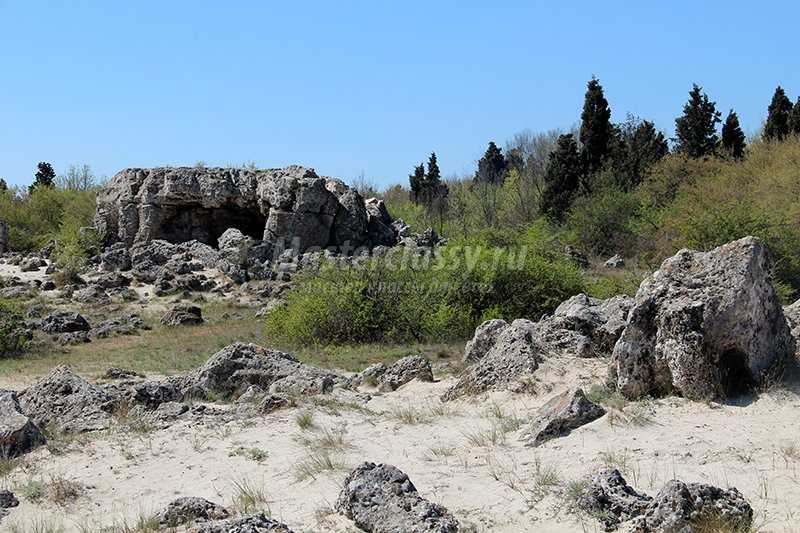 каменный лес Болгария фото