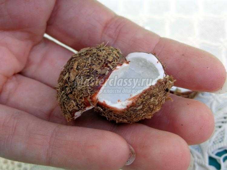 кокосы из полимерной глины