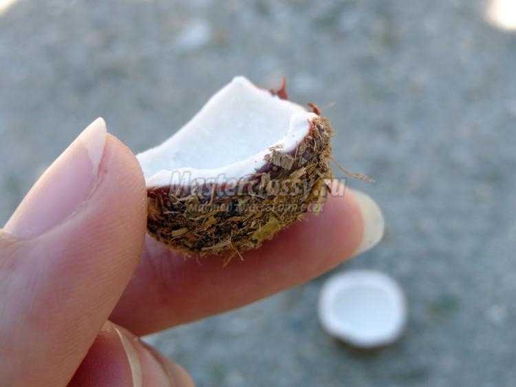 кокосы из полимерной глины