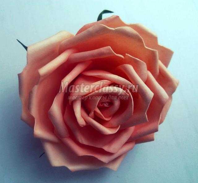 заколка с цветком из фоамирана. Королевская роза