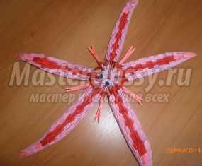 Морская звезда в технике модульное оригами. Мастер-класс с пошаговыми фото