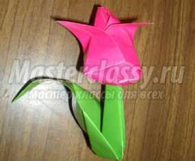 Цветы из бумаги в технике оригами. Тюльпан. Мастер-класс с пошаговыми фото
