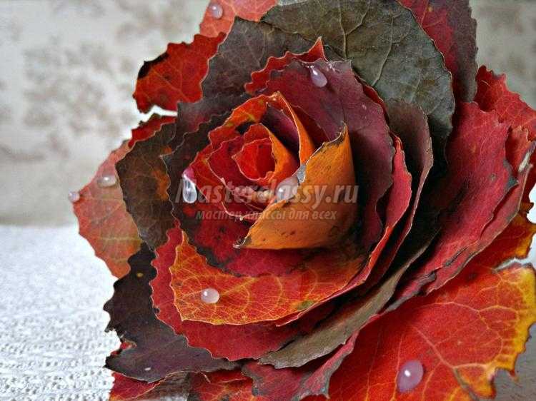 красивая роза из осенних листьев