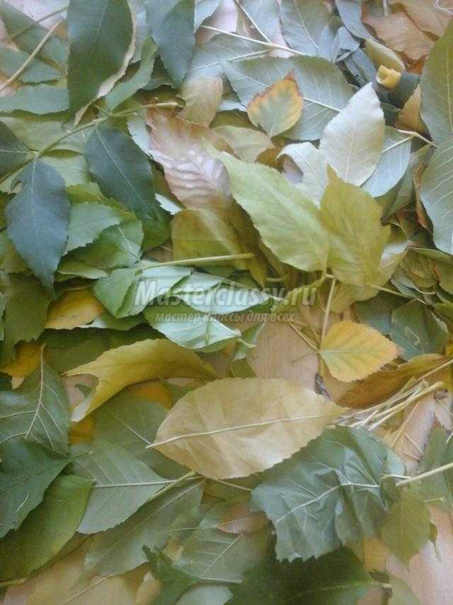 букет из листьев. Частичка тепла осени