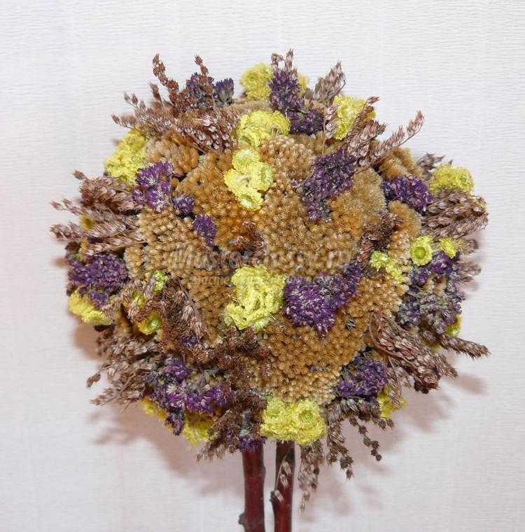 декоративное деревце из сухоцветов