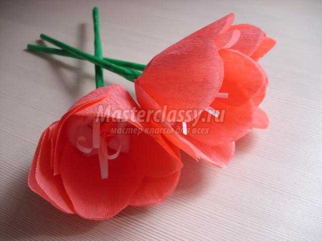 тюльпаны из креповой бумаги