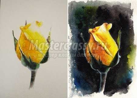 Как нарисовать розу: поэтапно с фото
