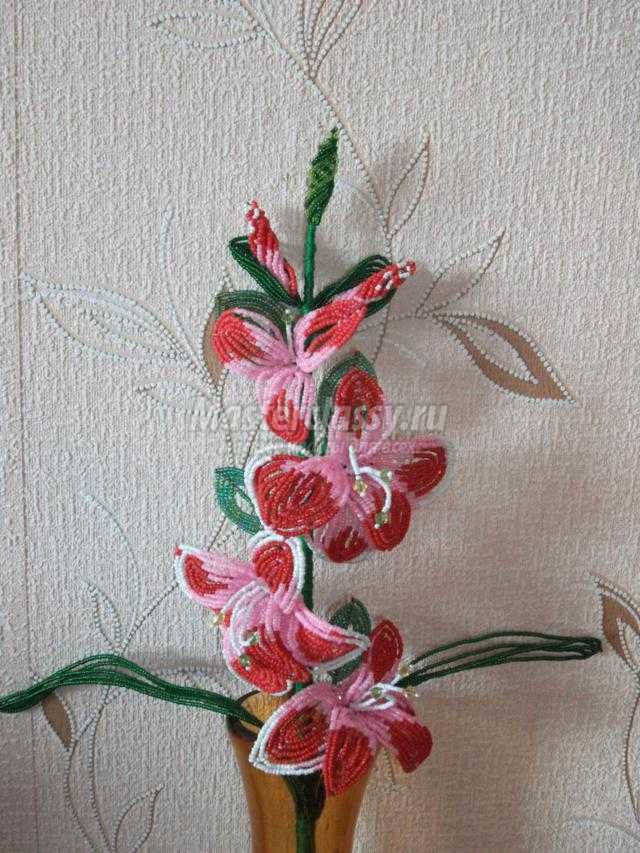 цветы из бисера. Гладиолус