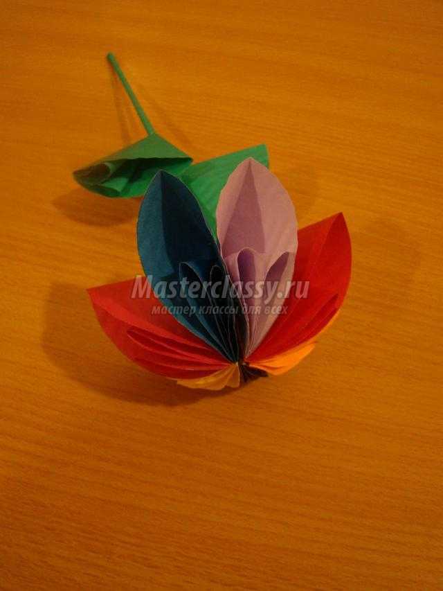 оригами из кругов. Цветик-семицветик