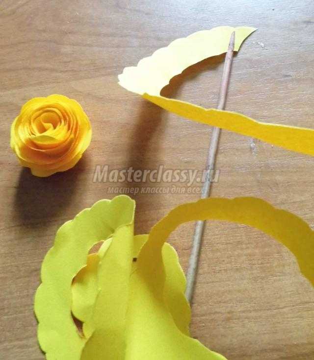 цветы из бумаги в технике квиллинг. Розы