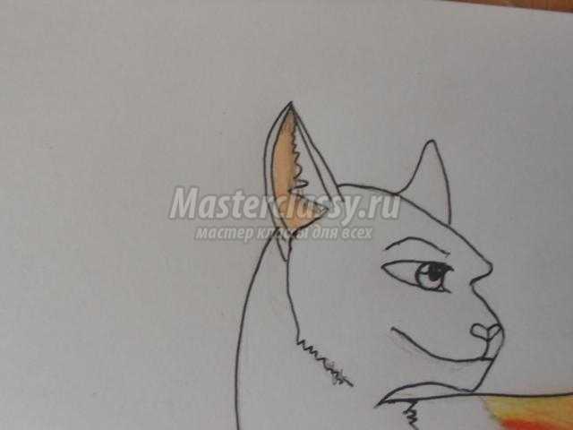 рисование кошки цветными карандашами