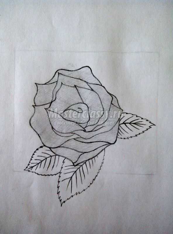 роза карандашом пошагово