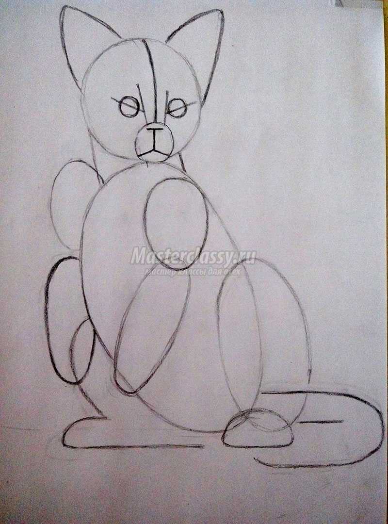 красивая кошка нарисованная карандашом