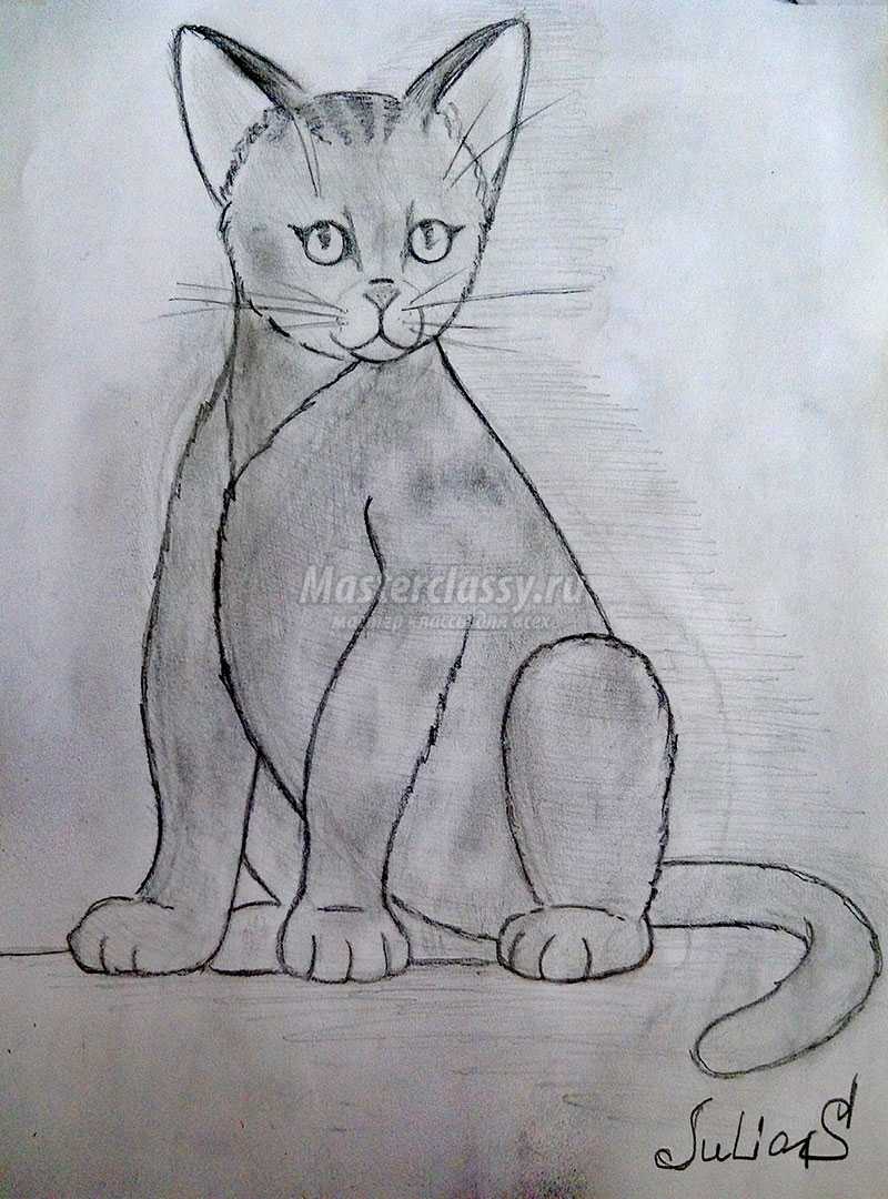 нарисованные кошки карандашом фото