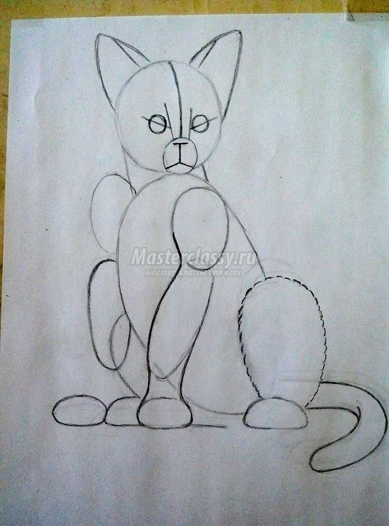 нарисованные кошки карандашом фото
