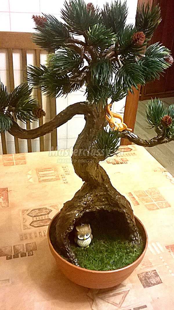 дерево бонсай мастер класс с пошаговым фото