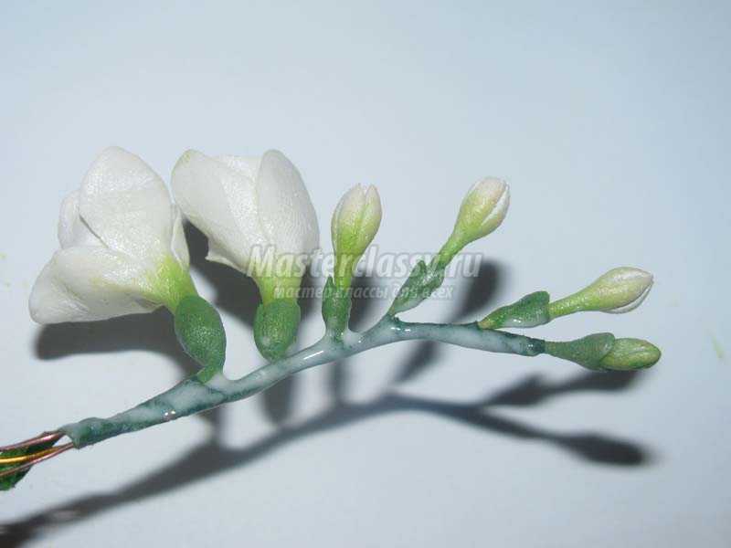 цветы из холодного фарфора фото