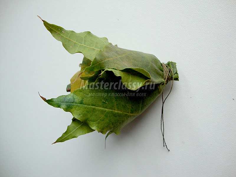 топиарий из кленовых листьев мастер класс
