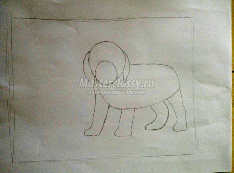 как нарисовать собаку поэтапно