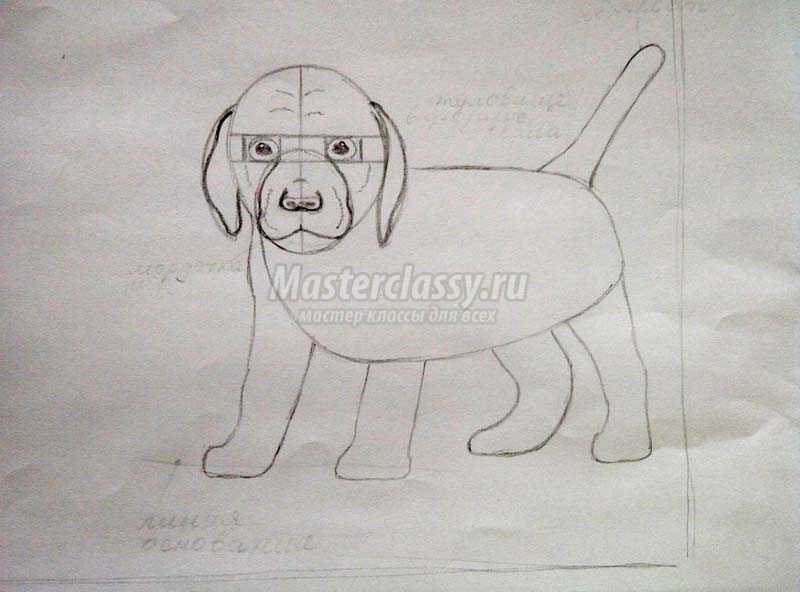 как нарисовать собаку карандашом поэтапно