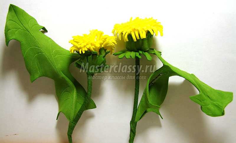 фоамиран цветы одуванчик