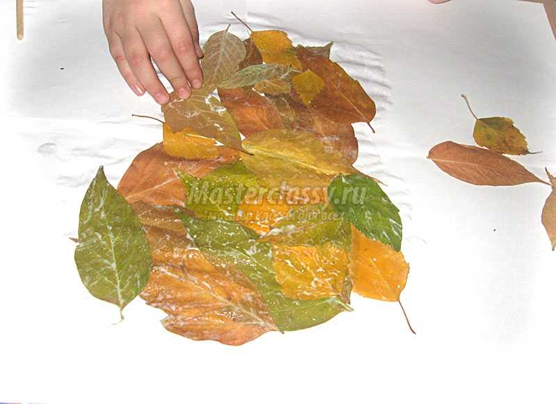 аппликации из осенних листьев своими руками