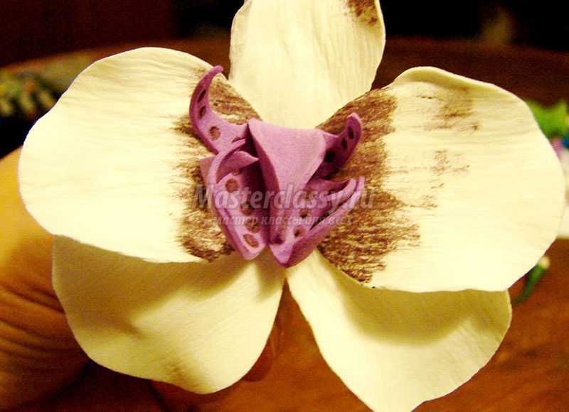 мк орхидея из фоамирана